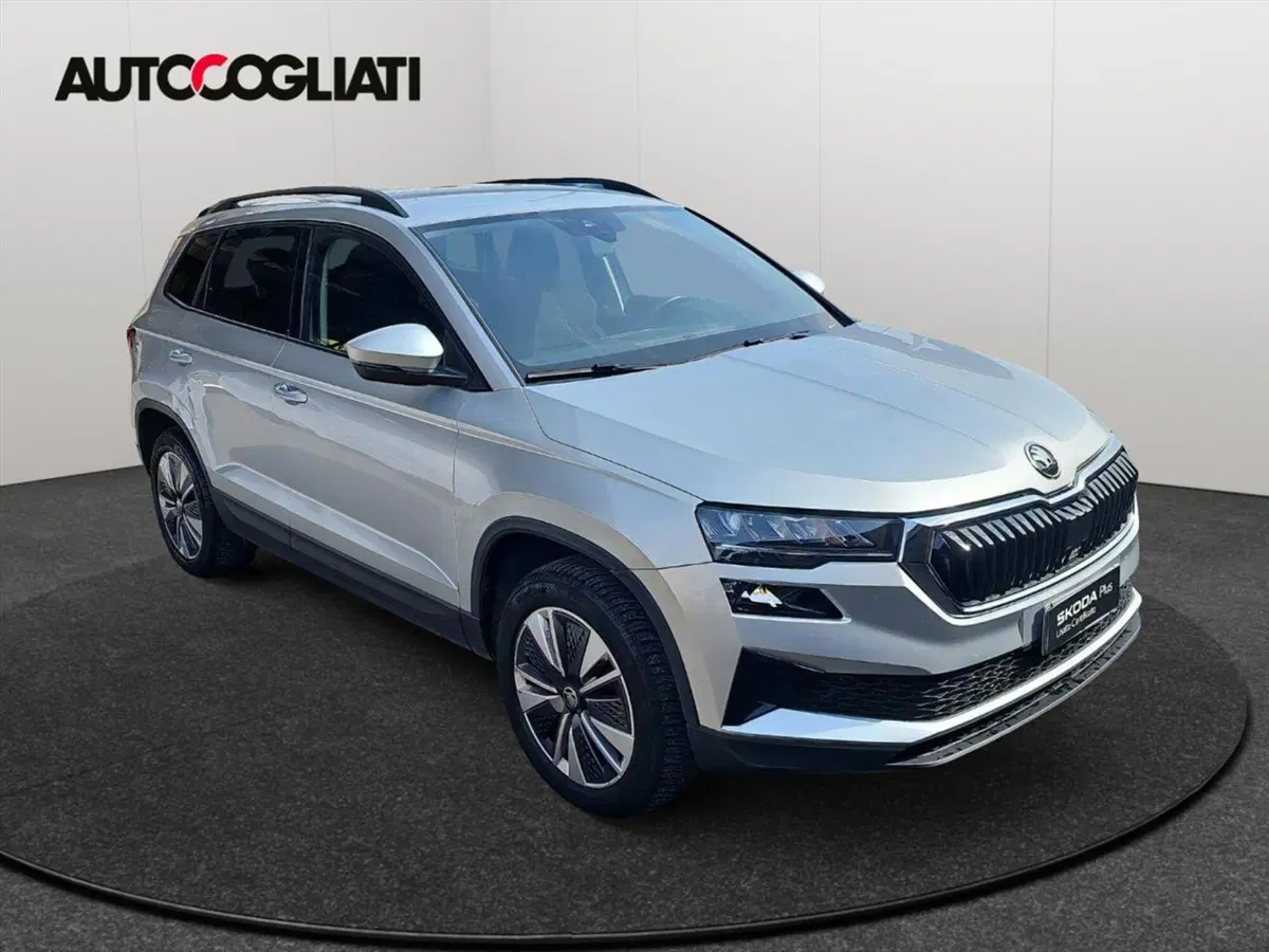 Skoda Karoq usata a Lecco (5)