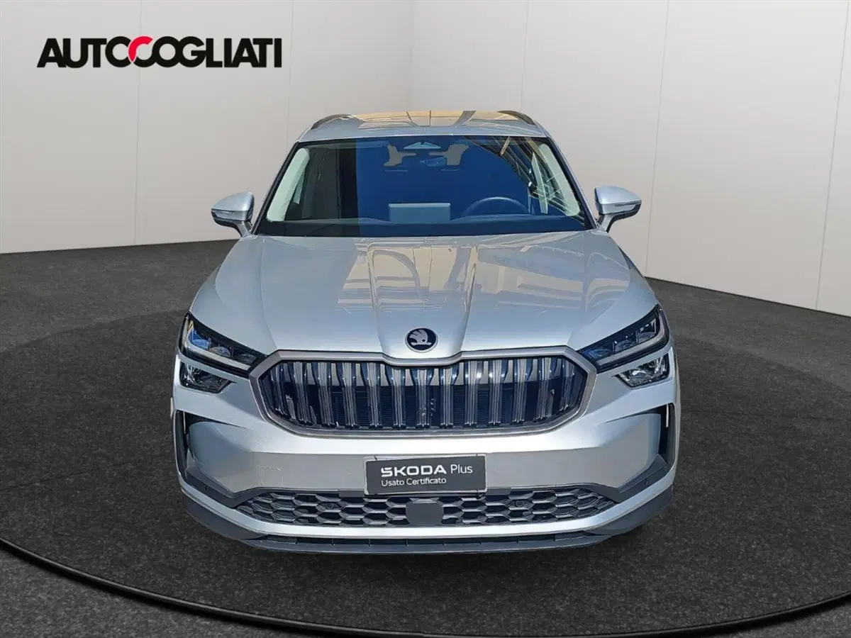 Skoda Kodiaq usata a Lecco (2)