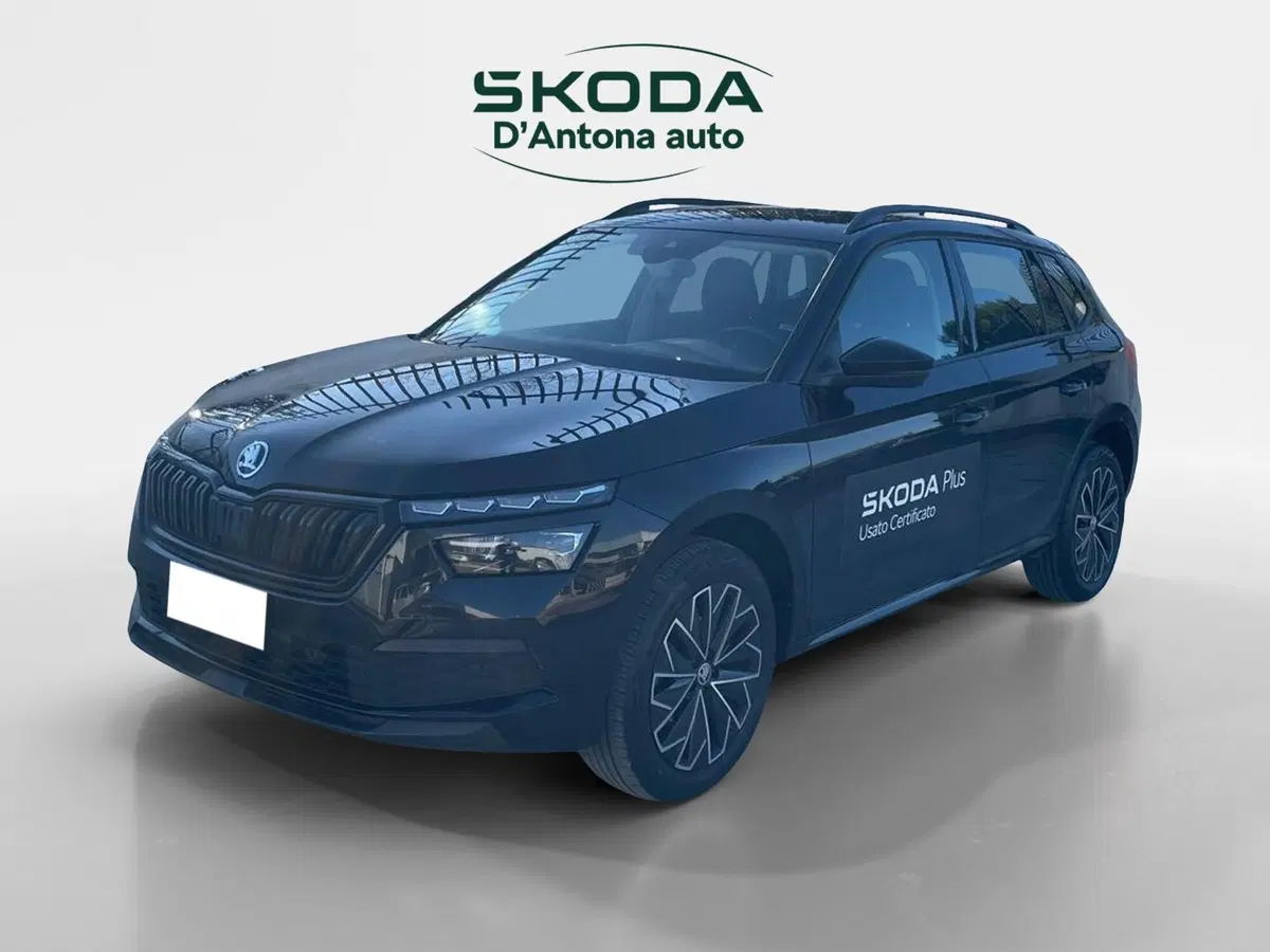 Skoda Kamiq usata a Taranto (2)