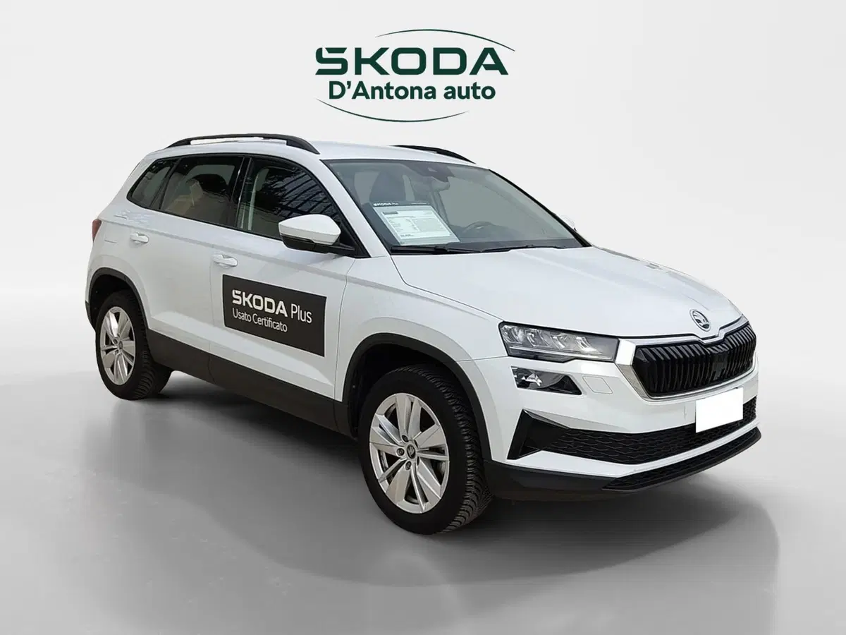 Skoda Karoq usata a Taranto