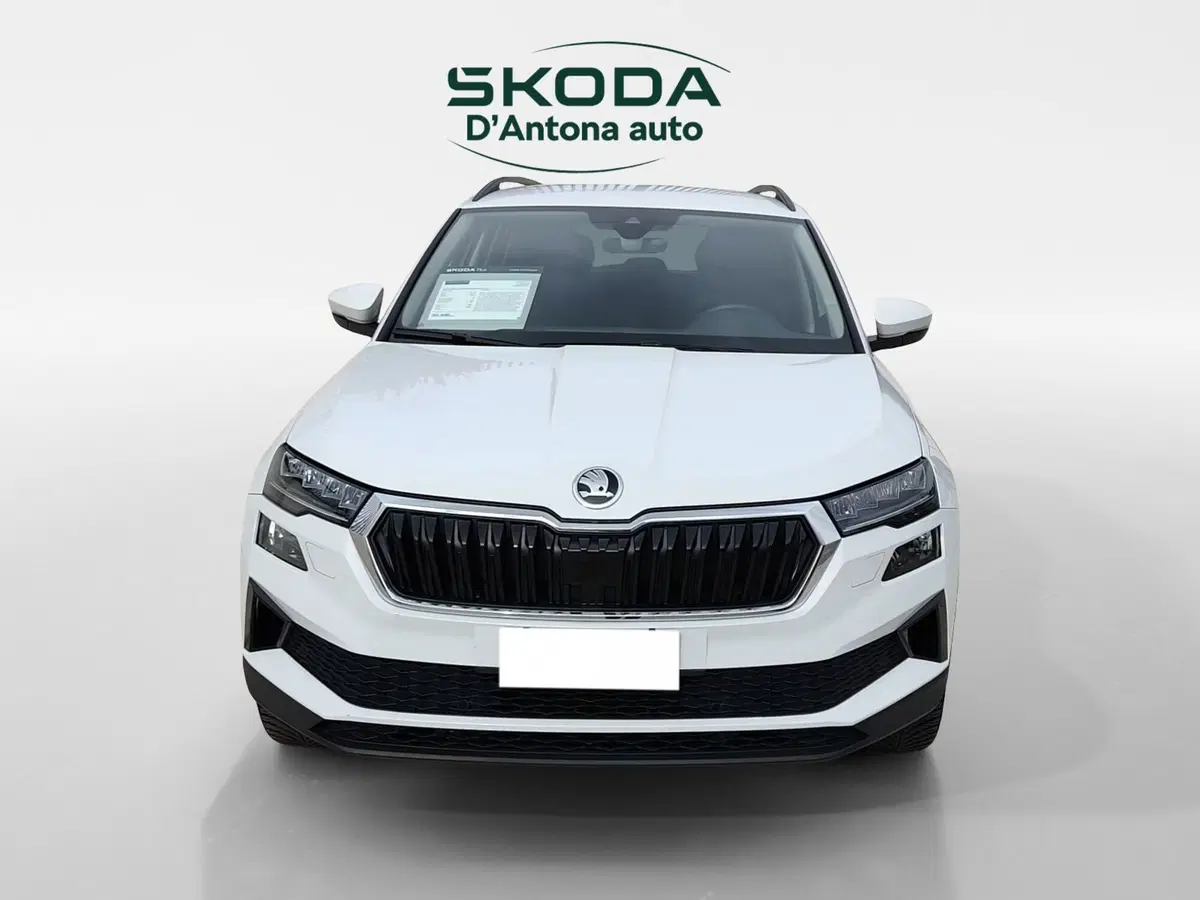 Skoda Karoq usata a Taranto (2)