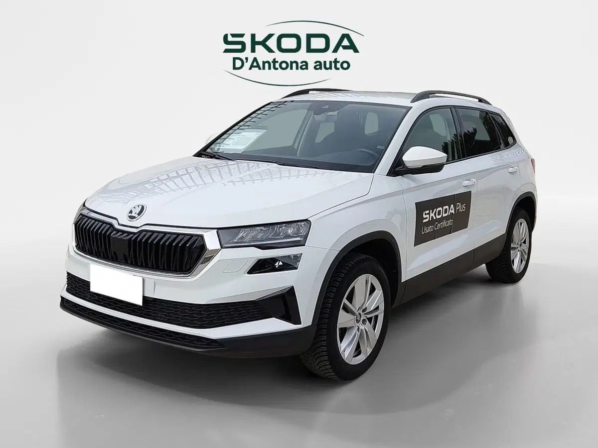 Skoda Karoq usata a Taranto (3)