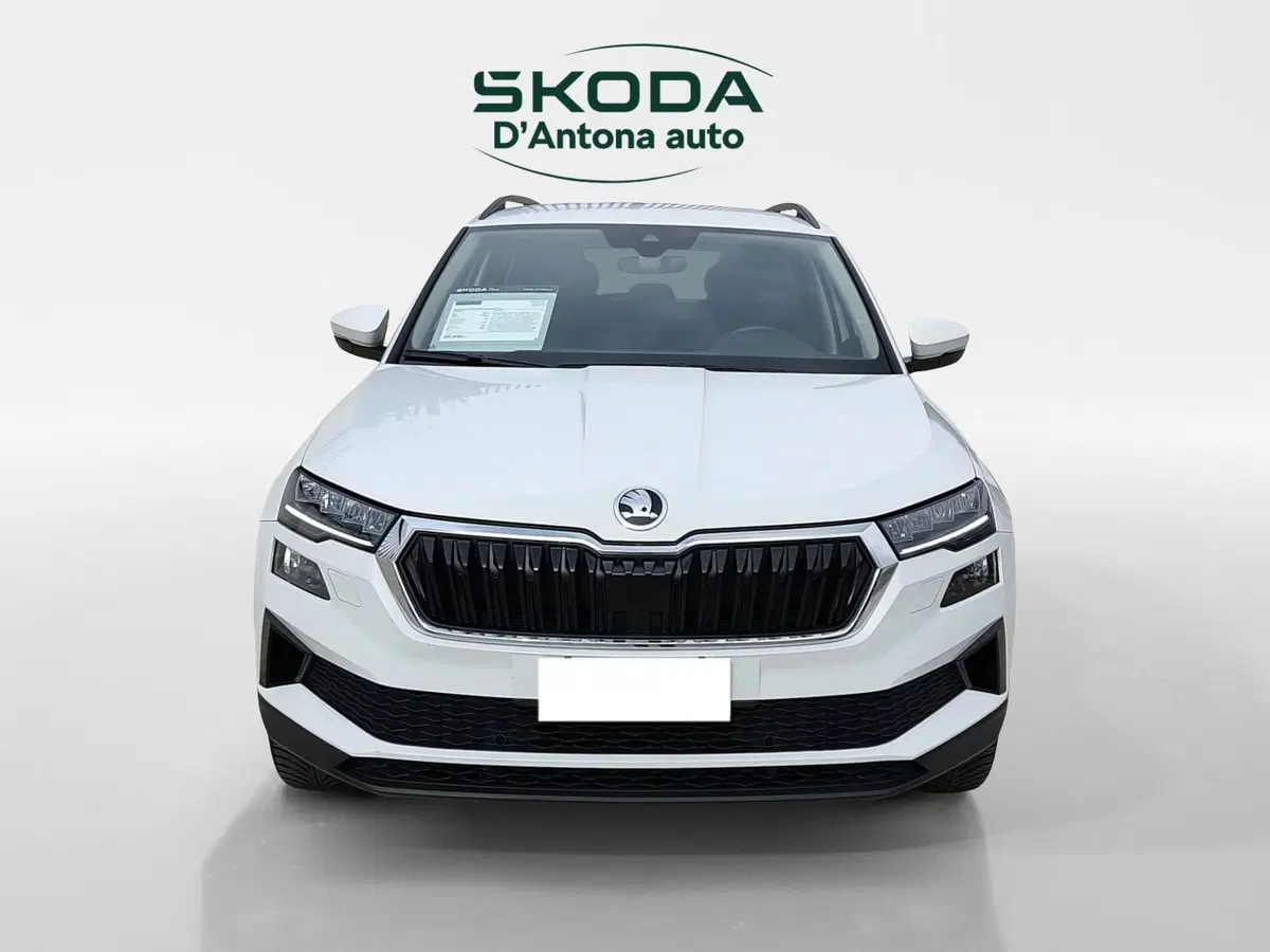 Skoda Karoq usata a Taranto (4)