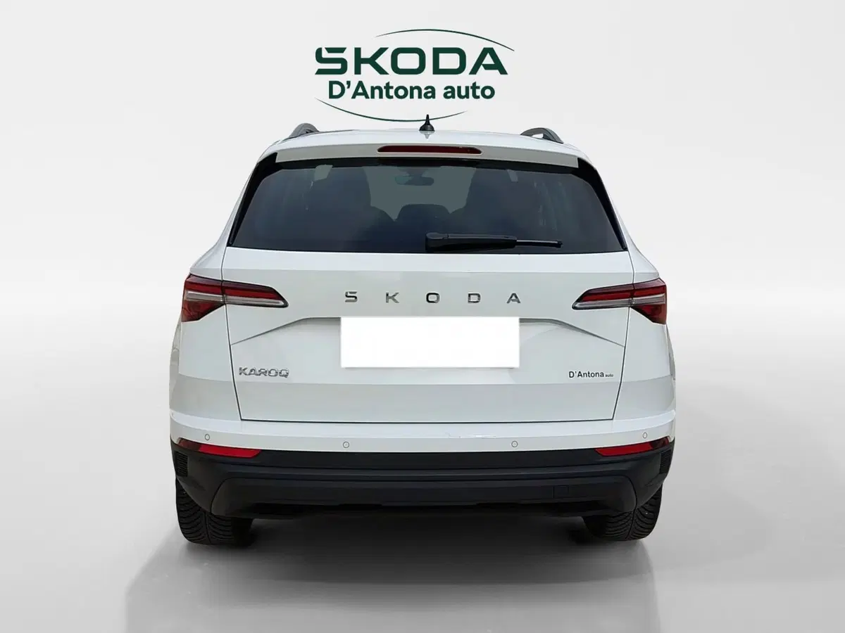 Skoda Karoq usata a Taranto (7)