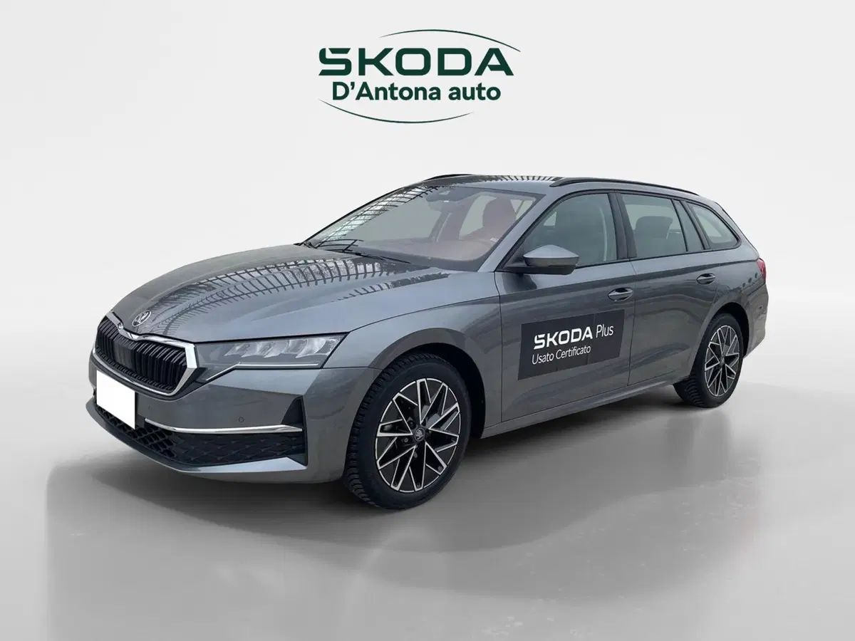 Skoda Octavia Station Wagon usata a Taranto (2)