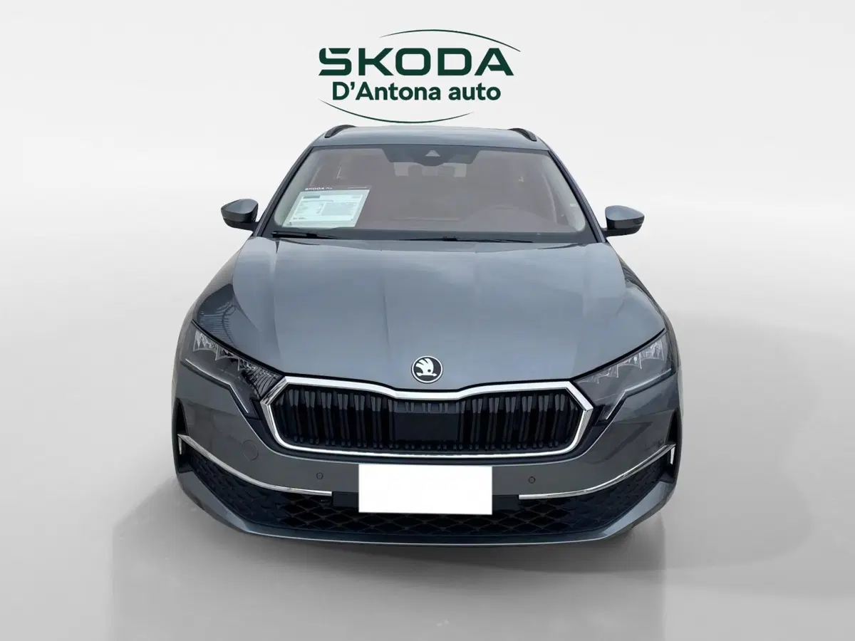 Skoda Octavia Station Wagon usata a Taranto (3)