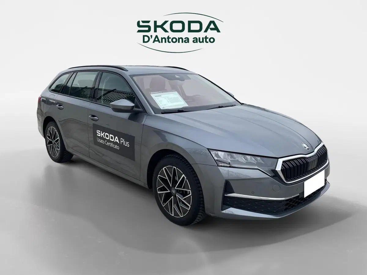 Skoda Octavia Station Wagon usata a Taranto (7)