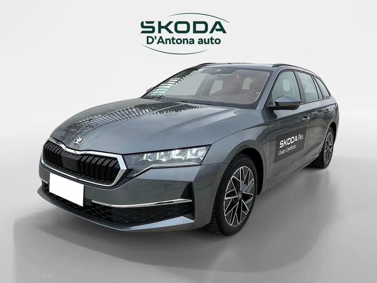 Skoda Octavia Station Wagon usata a Taranto (8)