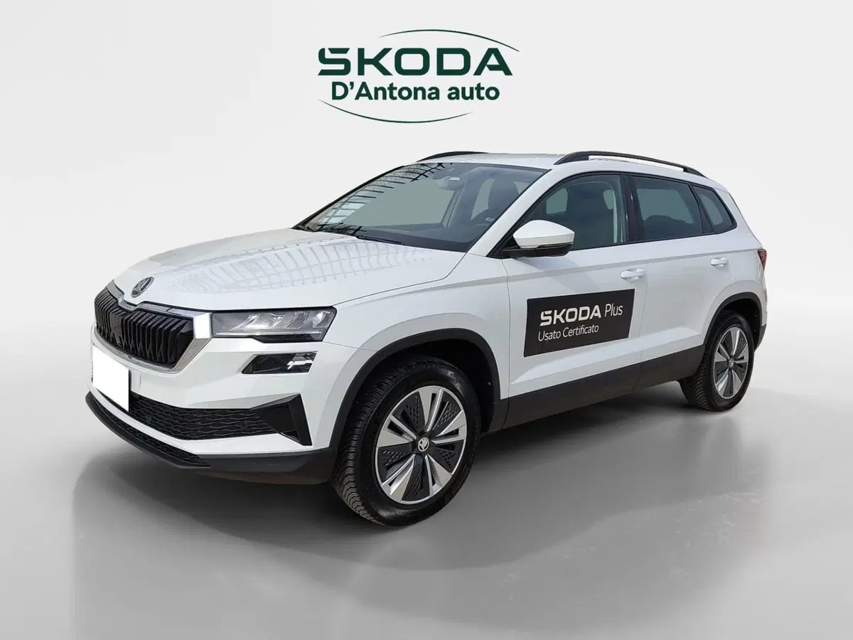 Skoda Karoq usata a Taranto (2)