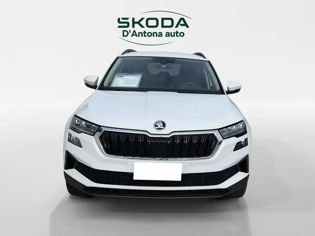 Skoda Karoq usata a Taranto (3)