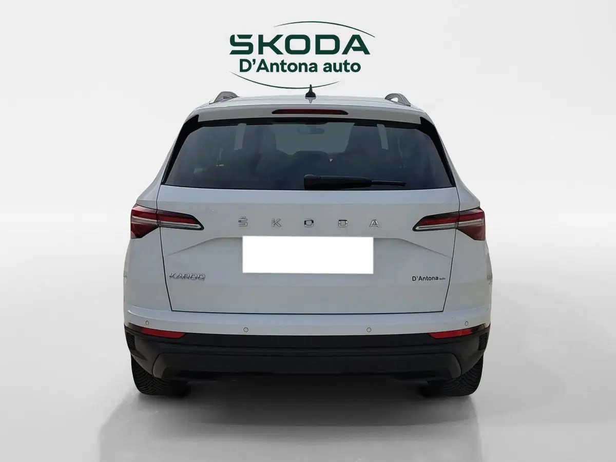 Skoda Karoq usata a Taranto (5)