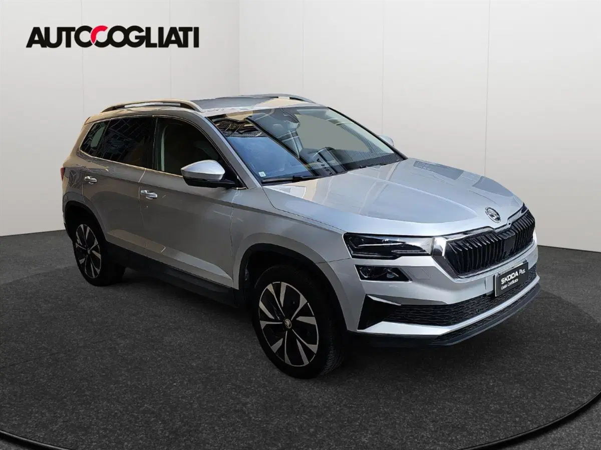 Skoda Karoq usata a Lecco (3)
