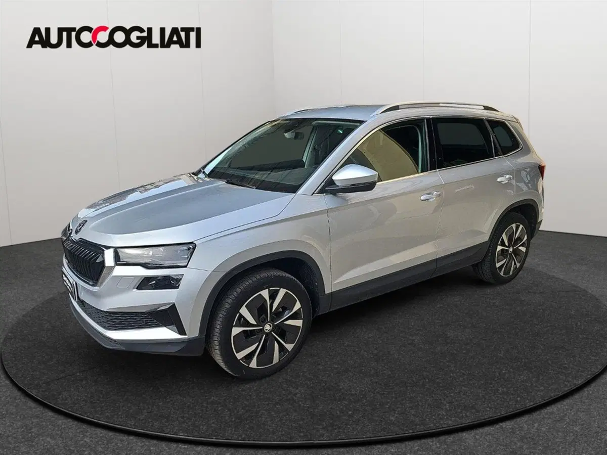 Skoda Karoq usata a Lecco (4)