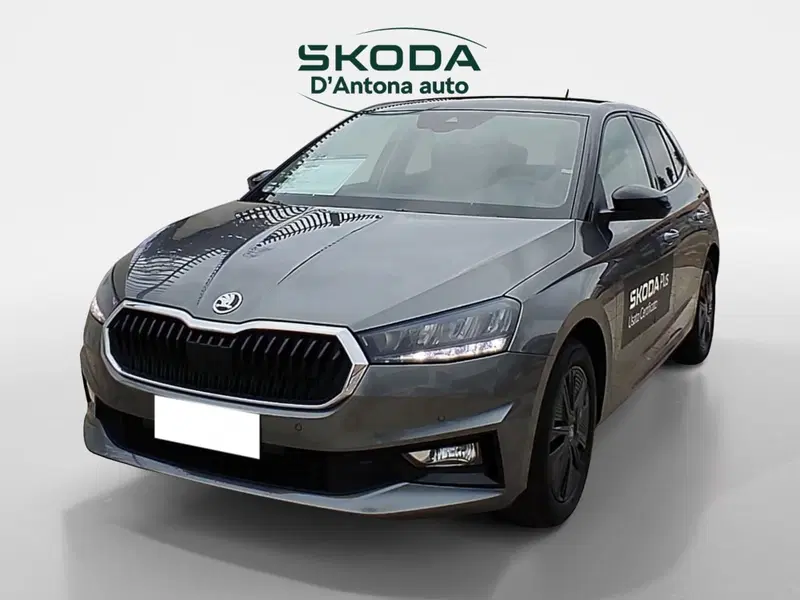 Skoda Fabia usata a Taranto (5)
