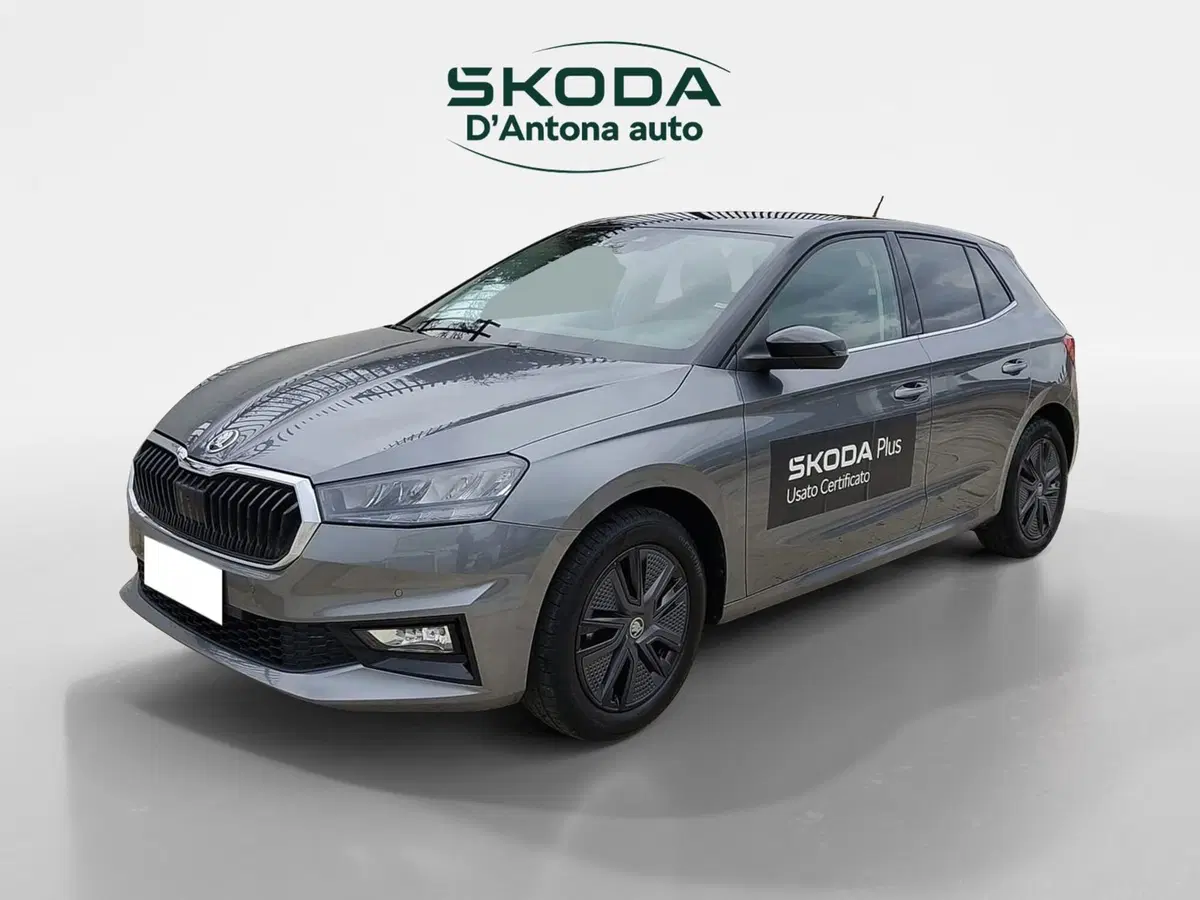 Skoda Fabia usata a Taranto (8)