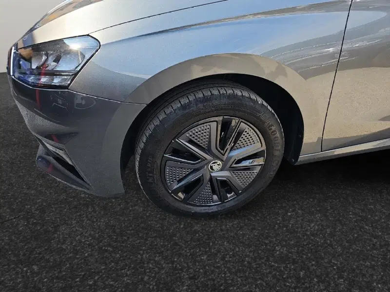 Skoda Fabia usata a Lecco (17)