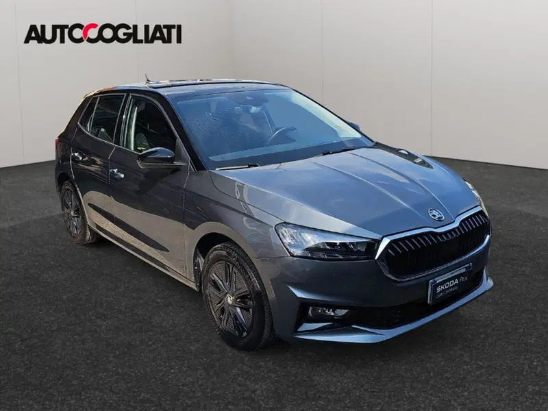 Skoda Fabia usata a Lecco (3)