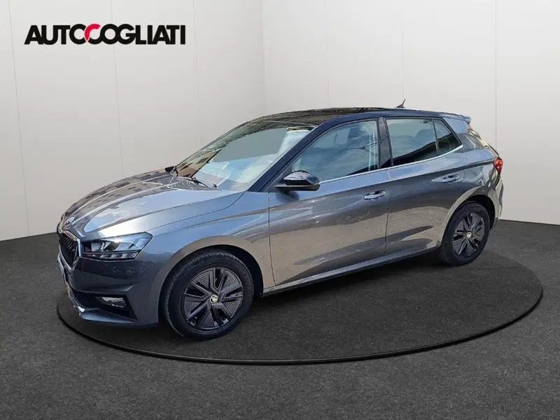 Skoda Fabia usata a Lecco (4)