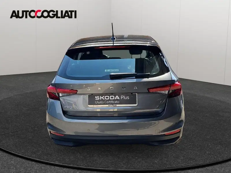 Skoda Fabia usata a Lecco (6)