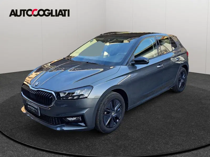 Skoda Fabia usata a Lecco