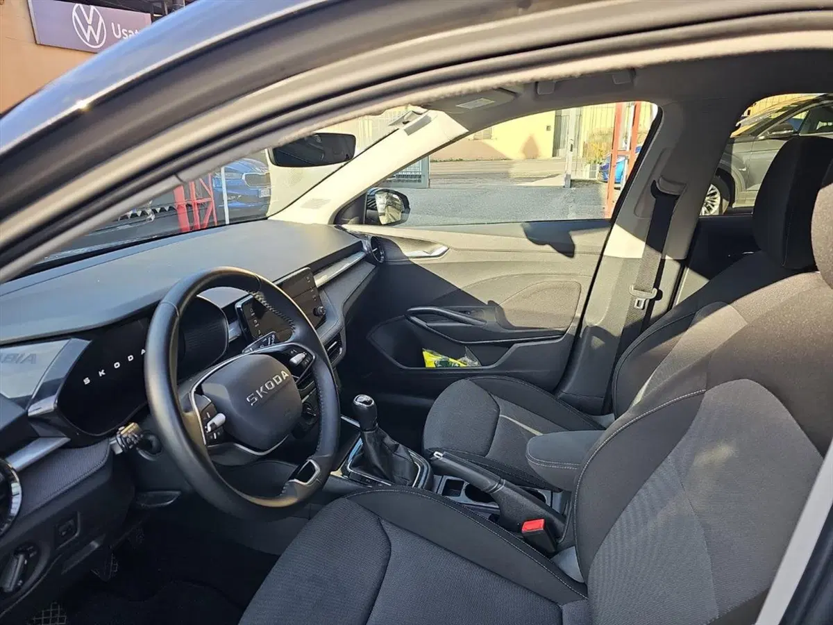 Skoda Fabia usata a Lecco (10)