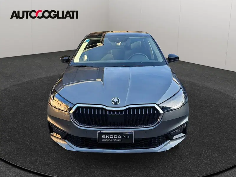 Skoda Fabia usata a Lecco (2)
