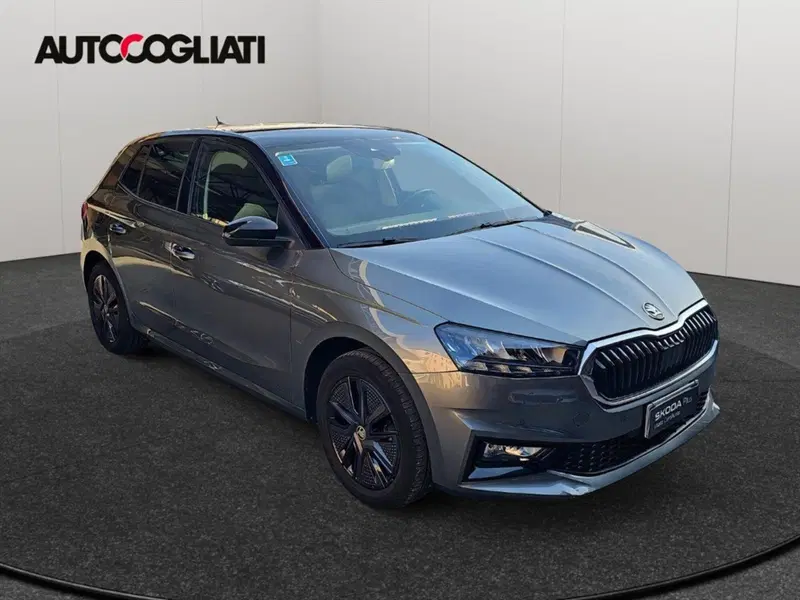 Skoda Fabia usata a Lecco (3)