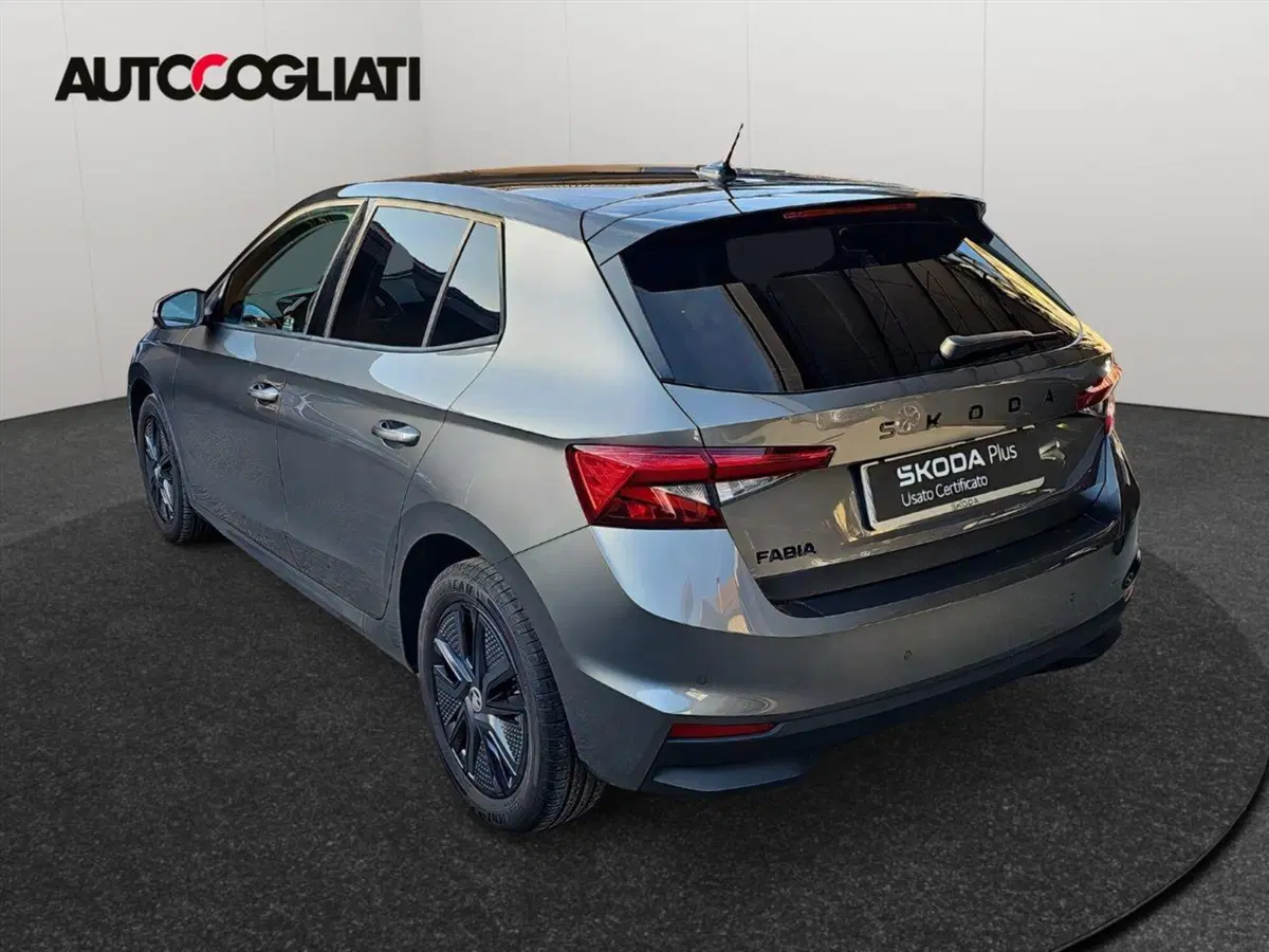 Skoda Fabia usata a Lecco (6)