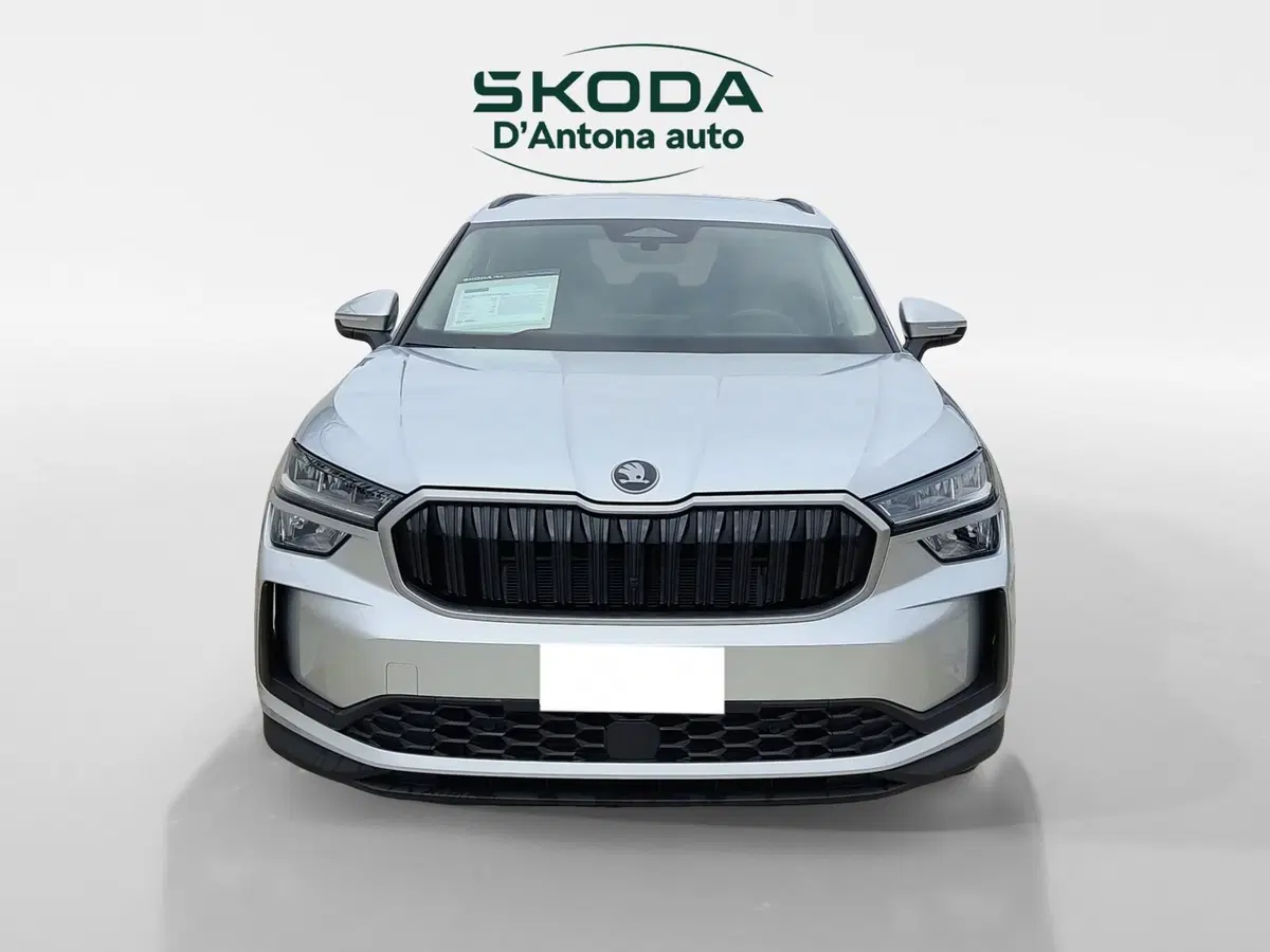 Skoda Kodiaq usata a Taranto (2)