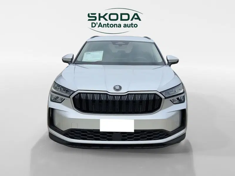 Skoda Kodiaq usata a Taranto (2)
