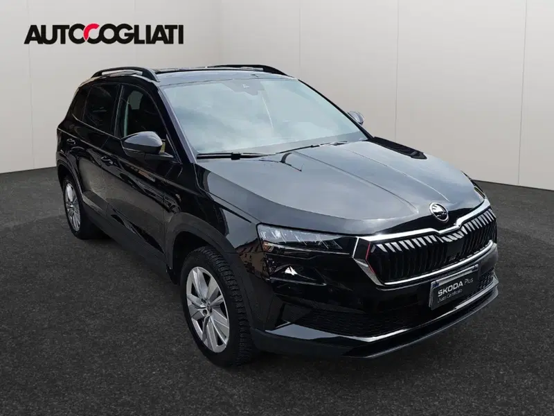 Skoda Karoq usata a Lecco (3)