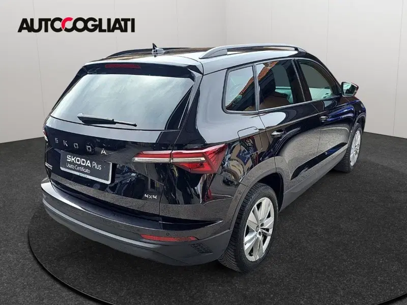 Skoda Karoq usata a Lecco (4)