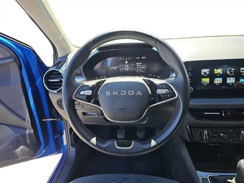 Skoda Fabia usata a Lecco (10)