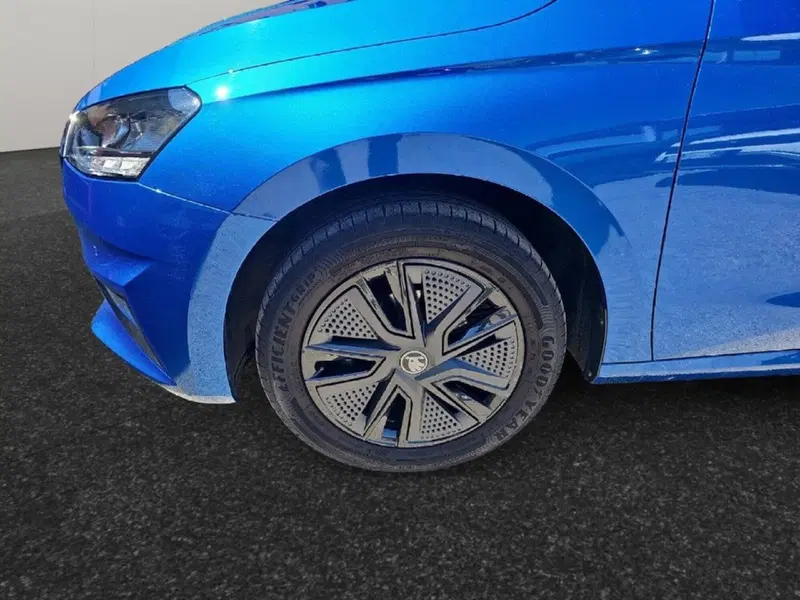 Skoda Fabia usata a Lecco (18)