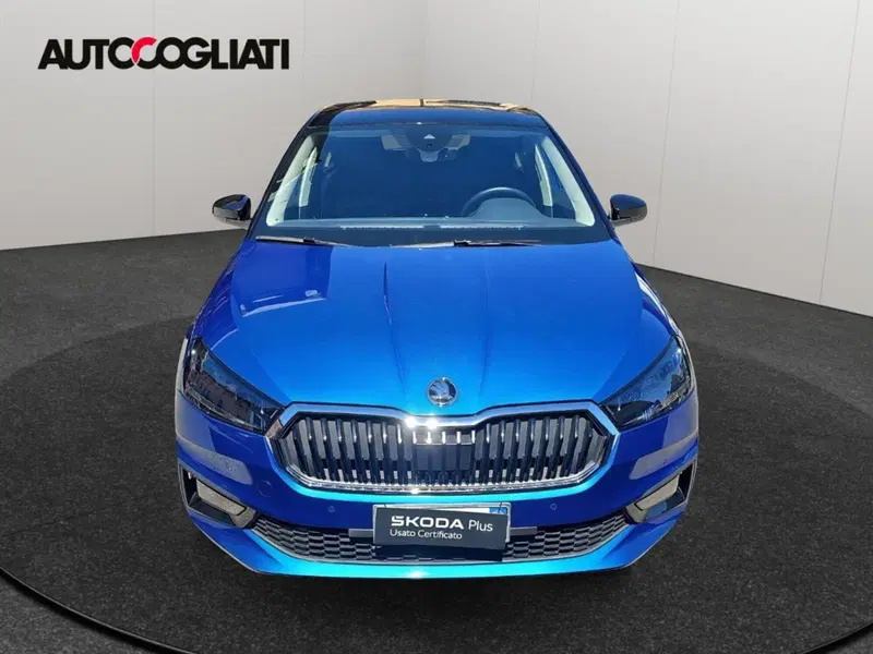 Skoda Fabia usata a Lecco (2)