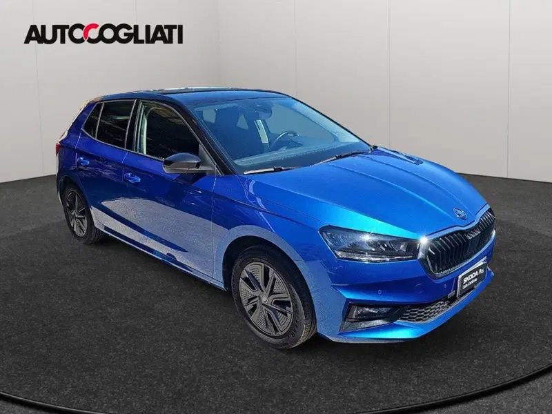Skoda Fabia usata a Lecco (4)