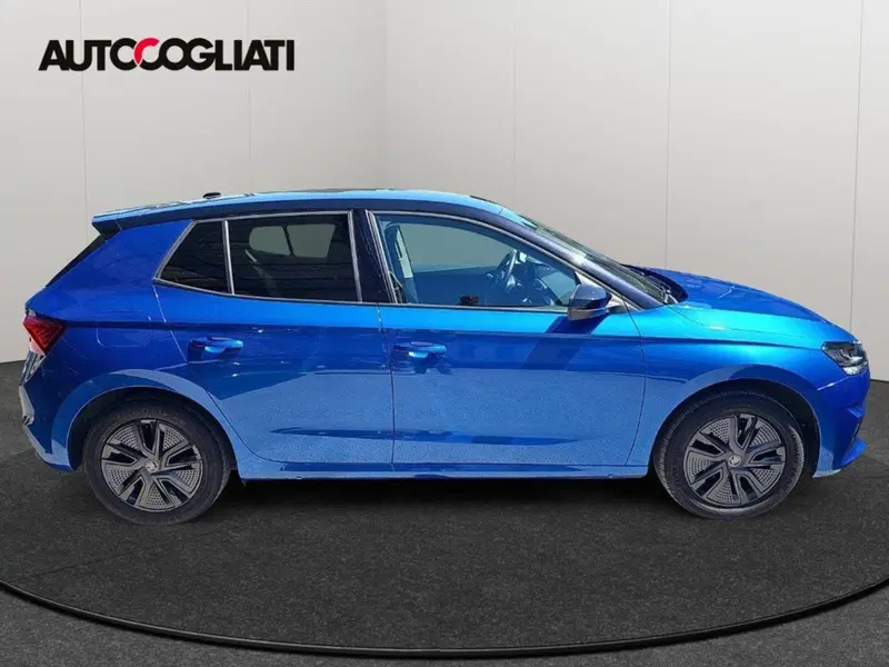 Skoda Fabia usata a Lecco (5)
