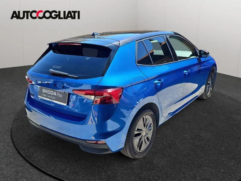 Skoda Fabia usata a Lecco (6)