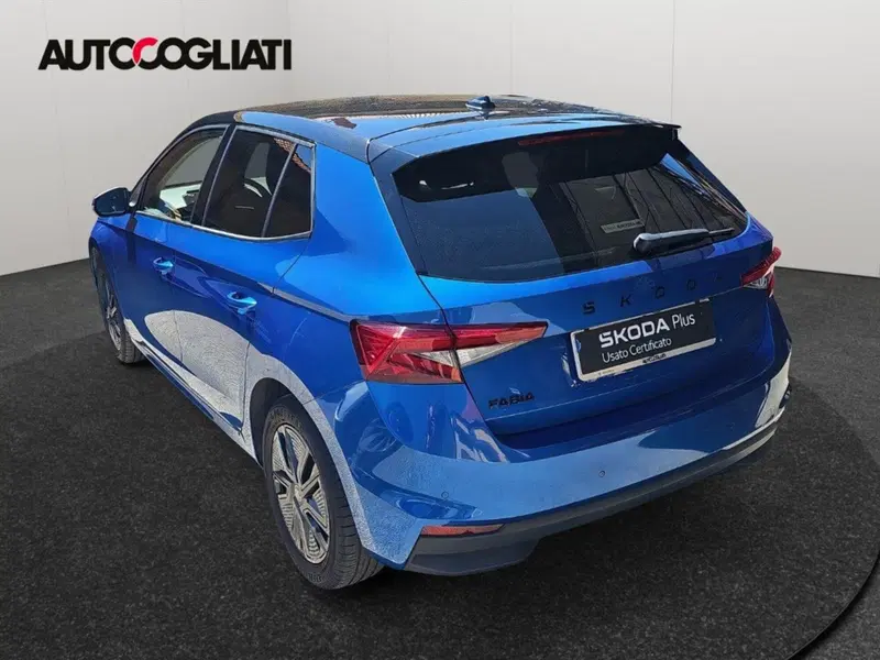 Skoda Fabia usata a Lecco (7)