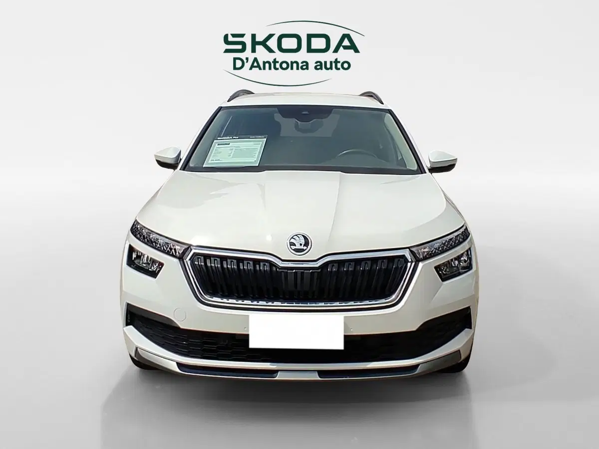 Skoda Kamiq usata a Taranto (4)