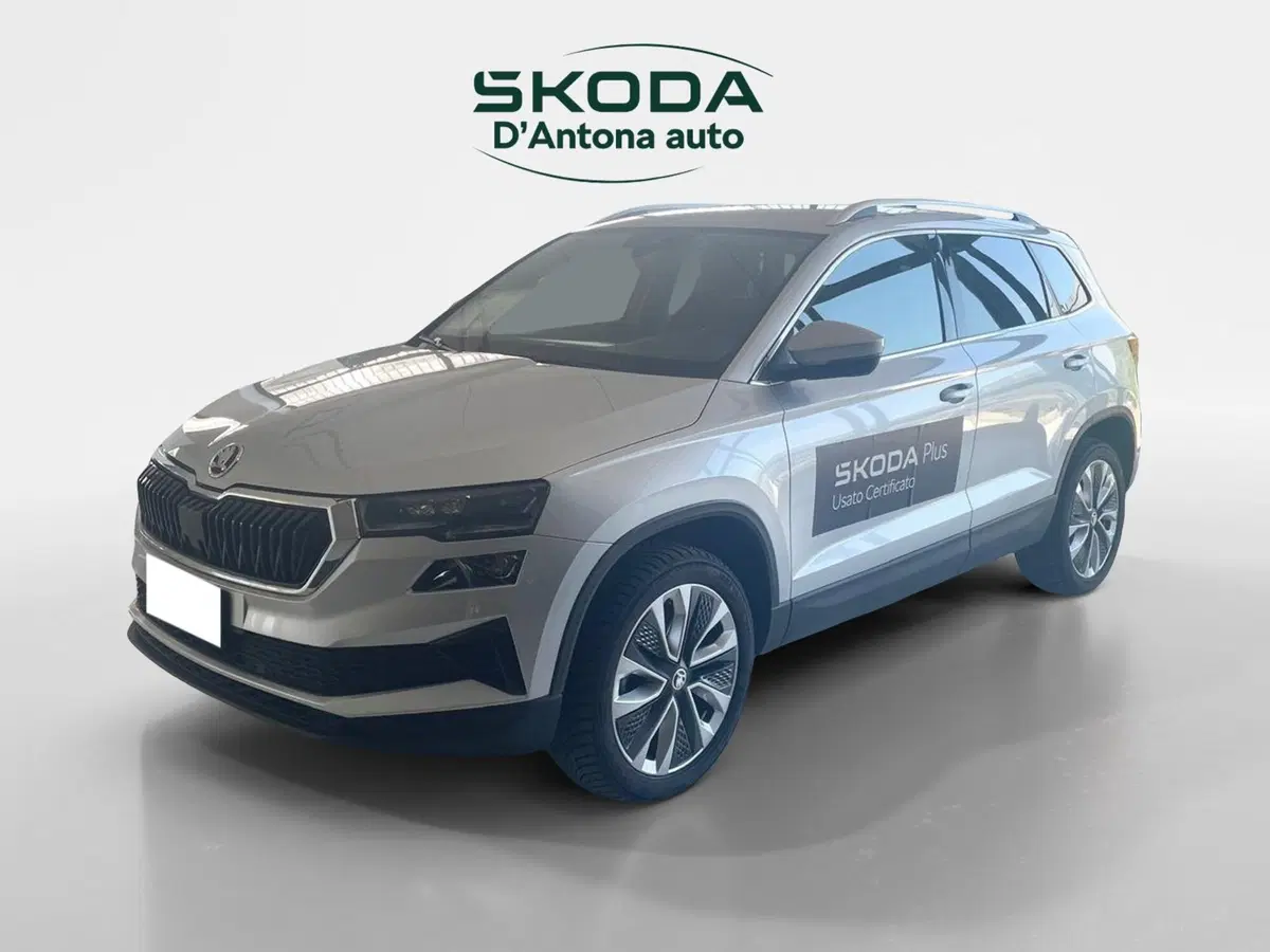 Skoda Karoq usata a Taranto (2)
