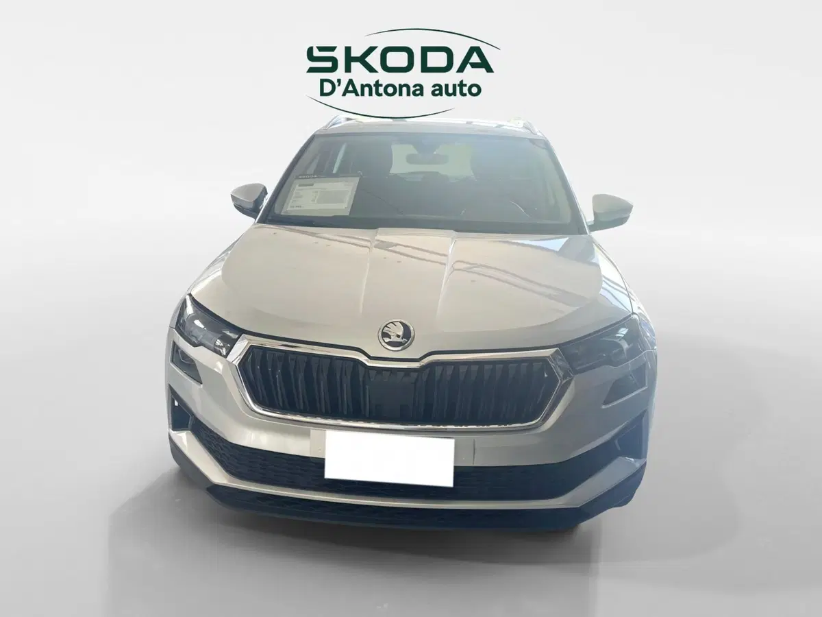Skoda Karoq usata a Taranto (3)
