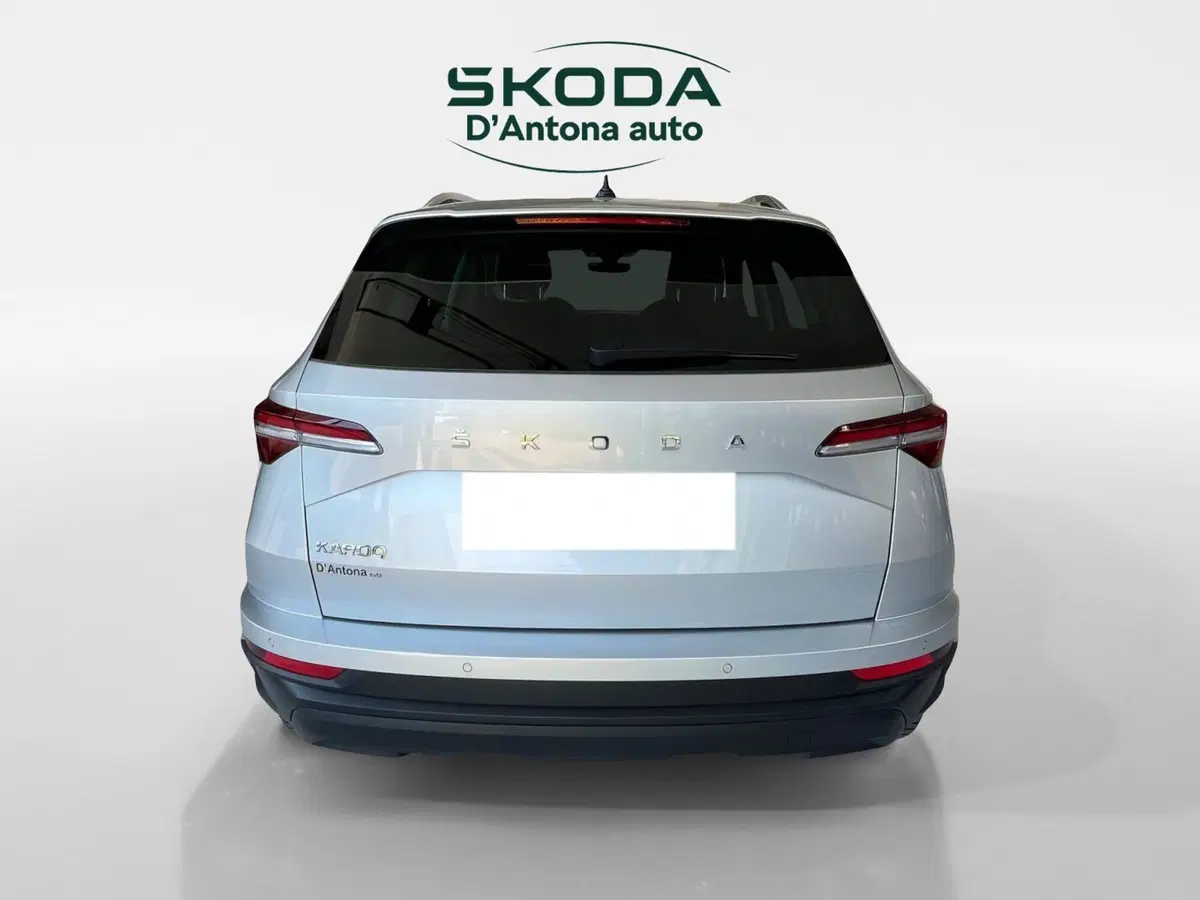 Skoda Karoq usata a Taranto (4)