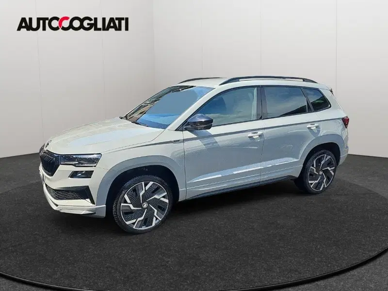 Skoda Karoq usata a Lecco (2)