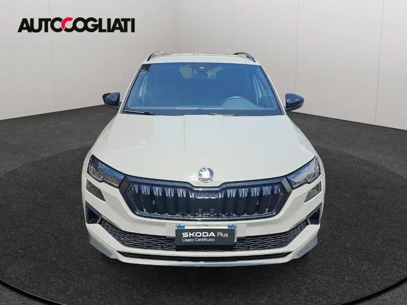 Skoda Karoq usata a Lecco (3)