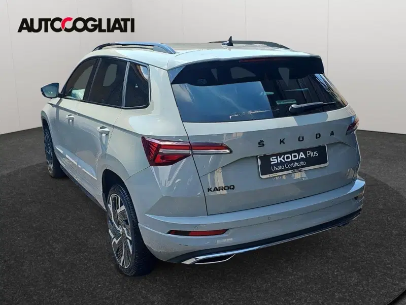Skoda Karoq usata a Lecco (4)