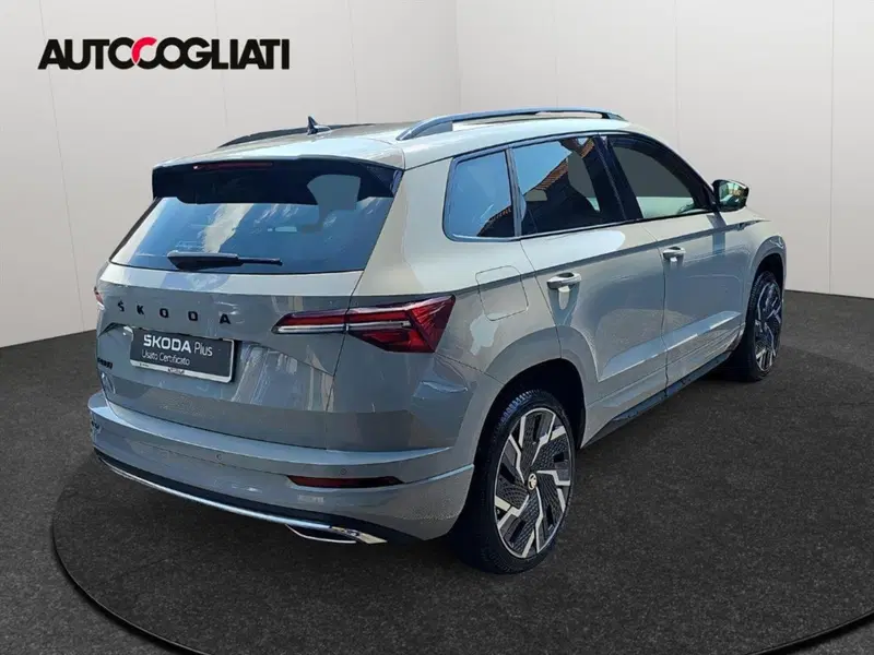 Skoda Karoq usata a Lecco (6)