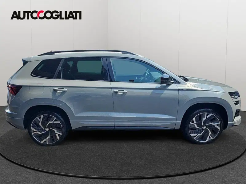 Skoda Karoq usata a Lecco (7)