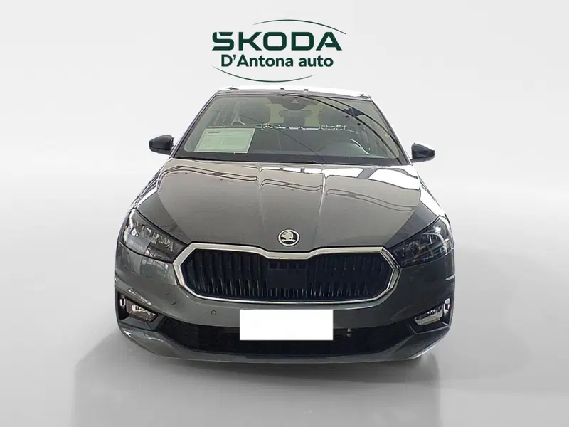 Skoda Fabia usata a Taranto (11)