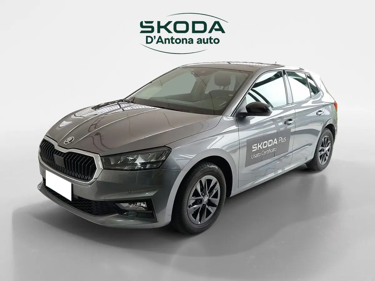 Skoda Fabia usata a Taranto (2)